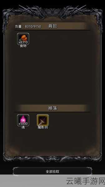 地下城堡2深度攻略，高效获取与科学管理强力护甲符文全解析