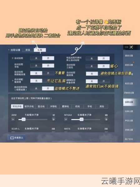 和平精英深度解析,如何点赞队友及更多趣味玩法揭秘
