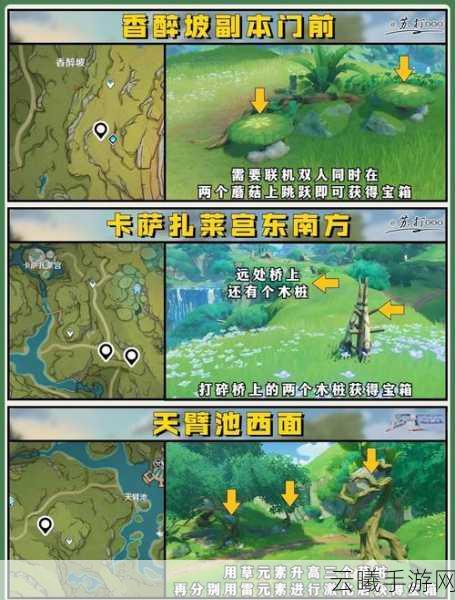 原神须弥隐藏任务全揭秘,如留时的星影,解锁无尽宝藏与荣耀成就!
