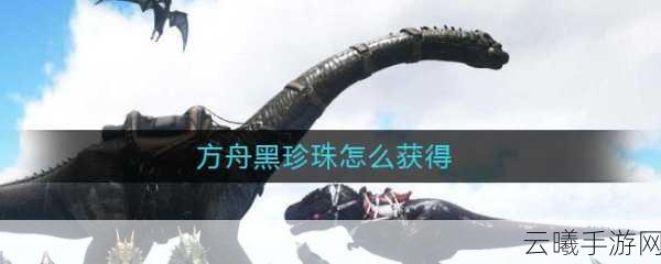 方舟生存进化手游，揭秘黑珍珠的获取之道与趣味玩法
