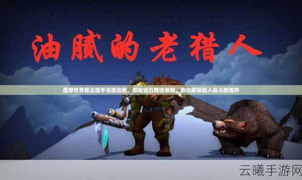 魔兽世界手游版,深度解析金币系统与趣味玩法指南