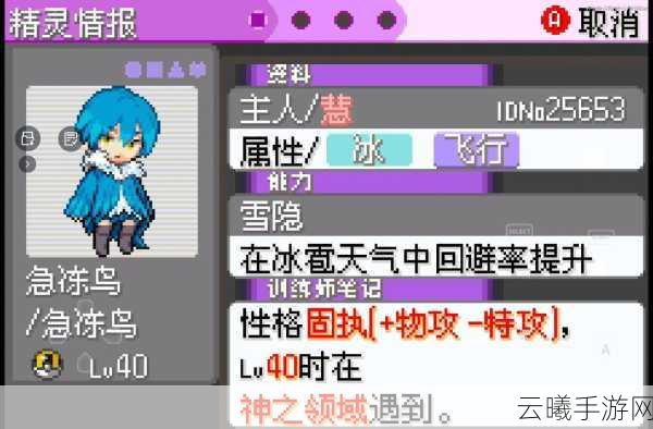 口袋妖怪漆黑的魅影,揭秘音速自行车调速技巧与趣味玩法