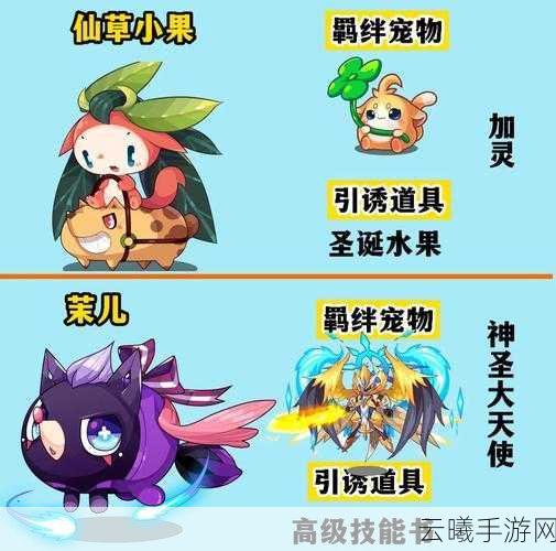 洛克王国乐游牌宠物大揭秘，探索奇幻世界的萌宠伙伴！