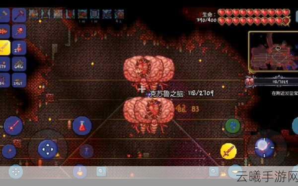 泰拉瑞亚克苏鲁之脑掉落物品全解析及趣味玩法揭秘