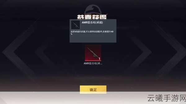 使命召唤手游AMR枪获取全攻略,解锁途径、实用技巧与趣味玩法揭秘