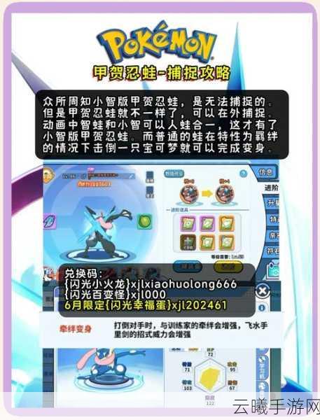 宝可梦大集结甲贺忍蛙道具携带全攻略,打造无敌刺客的装备秘籍