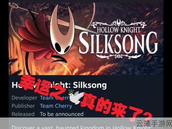 空洞骑士丝之歌多次跳票引期待，全新玩法揭秘