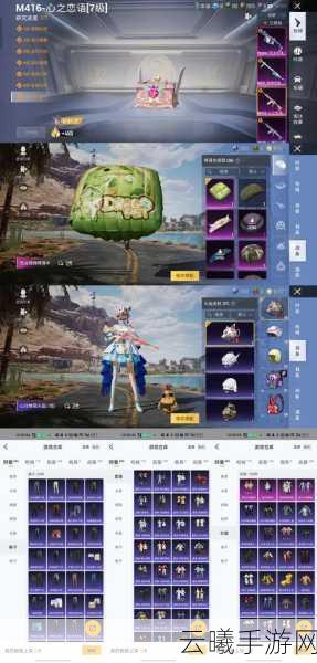 和平精英皮肤获取全攻略,解锁炫酷外观,畅享独特玩法