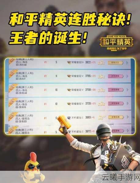 和平精英新标点功能详解,万能标点如何助你制胜,趣味玩法大揭秘