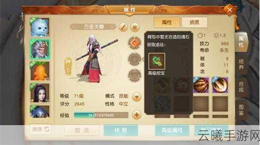 天下手游冰心堂加点推荐及趣味玩法深度解析