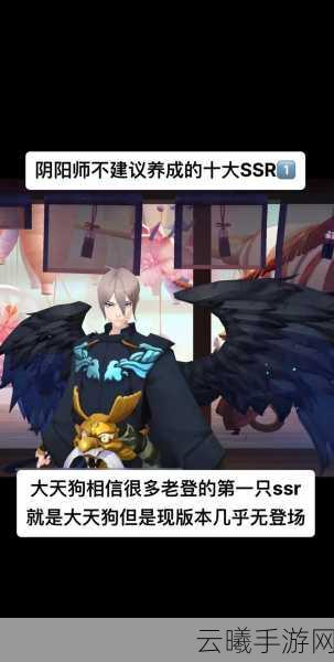 阴阳师手游夜叉技能全面解析及SR夜叉升星价值深度探讨