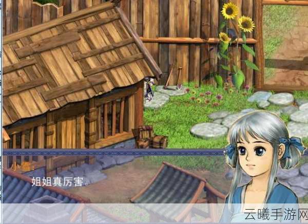 仙剑奇侠传之双剑传说深度攻略秘籍与趣味玩法揭秘