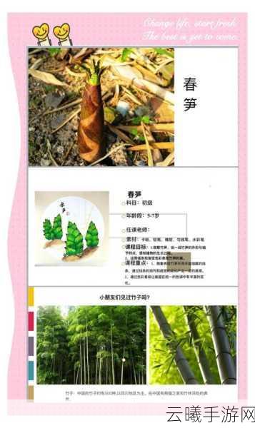星球重启雪竹笋采集攻略,探索极寒之地的珍稀食材