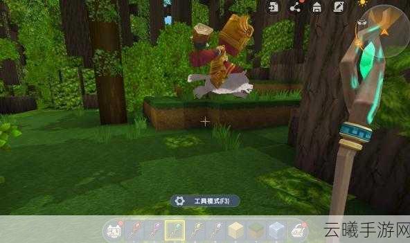 迷你世界雨林地图地形码全览，踏上探索神秘丛林奥秘的奇幻之旅