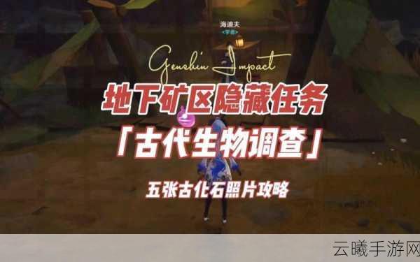 原神层岩巨渊化石拍照全攻略,古代生物调查任务深度探索指南