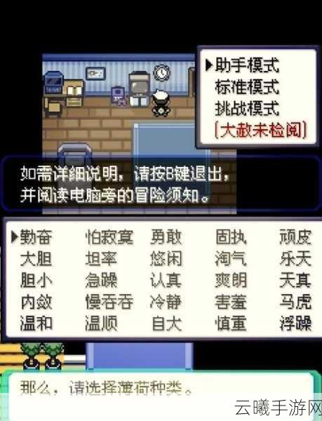 口袋妖怪决心汉化版二周目深度攻略,解锁全新冒险,探索未知领域