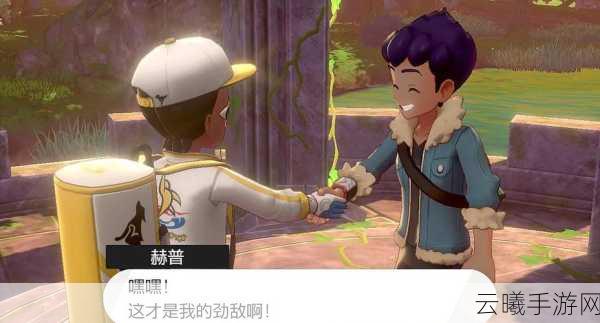 口袋妖怪决心汉化版二周目深度攻略,解锁全新冒险,探索未知领域