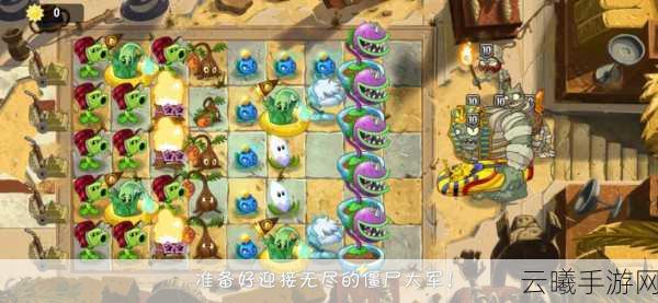 植物大战僵尸2埃及无尽挑战全攻略秘籍,解锁趣味新玩法,畅享激战乐趣!