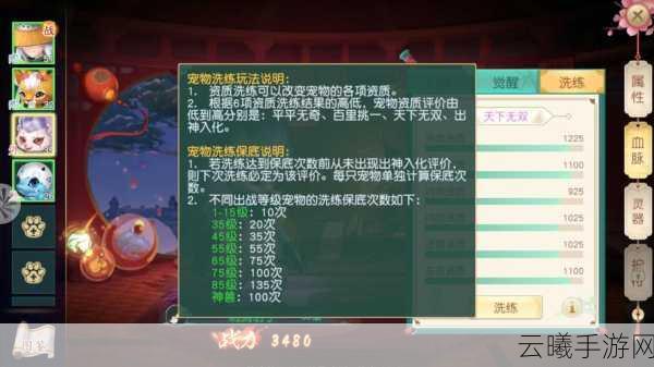 神雕侠侣2手游特殊符号全面解析与趣味玩法一览指南