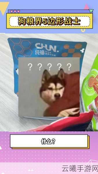 FGO狗粮速刷攻略，高效搭配与趣味玩法大揭秘