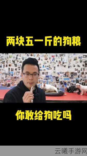 FGO狗粮速刷攻略,高效搭配与趣味玩法大揭秘