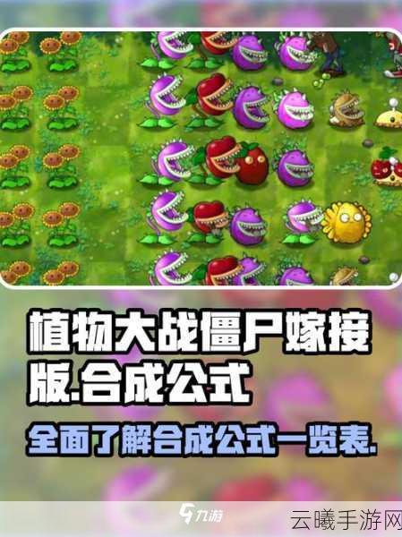 植物大战僵尸嫁接版作者揭秘及游戏趣味玩法详解