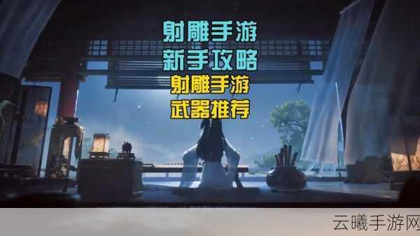 射雕手游珍稀道具揭秘,慈母绣鞋高效收集攻略与趣味玩法探索