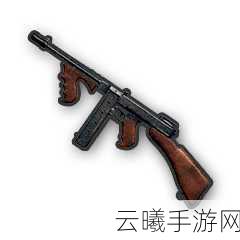 绝地求生大逃杀冲锋枪全解析,速度与激情的终极较量