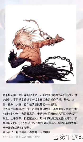 DNF手游男法师新职业哪个好之职业对比分析，探索魔法世界的无限可能