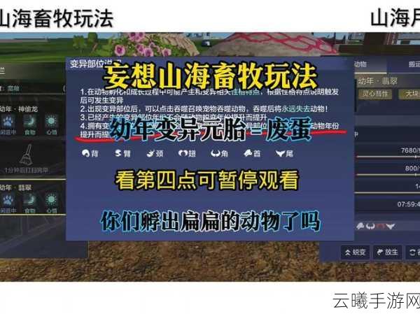 妄想山海体验服有资格却进不去？全面解决方案及趣味玩法揭秘！