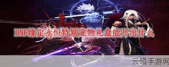DNF缘定永恒特别宠物礼盒揭秘，珍稀宠物与趣味玩法等你来探索！