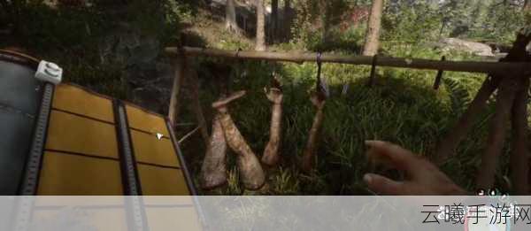 森林之子手游资讯,晾肉架制作教程及趣味玩法揭秘