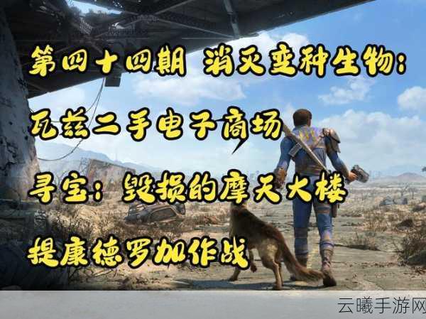 辐射岛宝藏探秘,挖掘宝藏全攻略,解锁末日废土的神秘财富