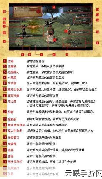 龙之信条:黑暗觉者物理系上手攻略与趣味玩法揭秘