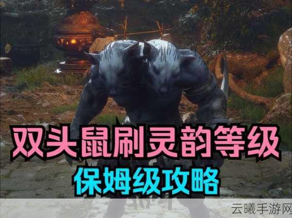 黑神话,悟空揭秘!灰蛰法术全攻略与趣味玩法探索