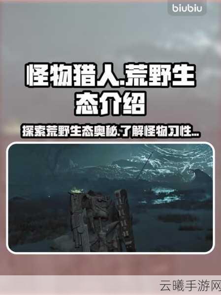 怪物猎人,盾防炮击专家,揭秘全新职业神秘面纱