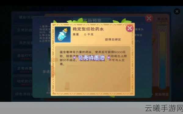 创造与魔法贝壳币深度解析，探索其神秘功能与多样用途