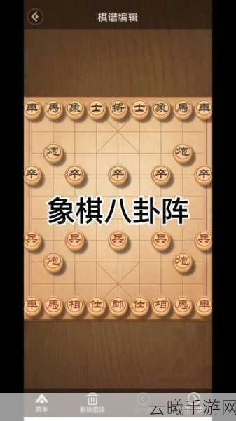 万宁象棋阵法技能深度解析与趣味玩法揭秘