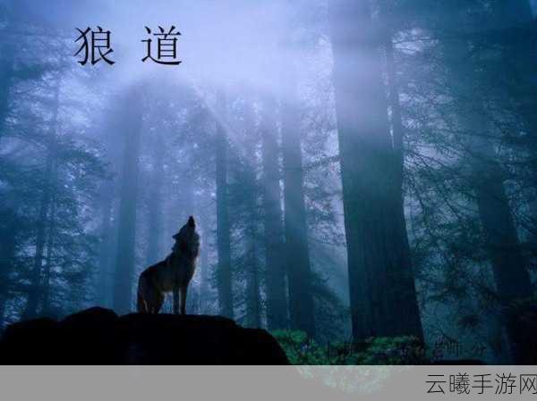 迷你世界狼的驯服与繁殖秘籍,探索奇幻大陆的野性魅力
