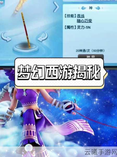 梦幻西游手游感知卡深度解析,梦幻西游感知与高级感知,高感真的必要吗?