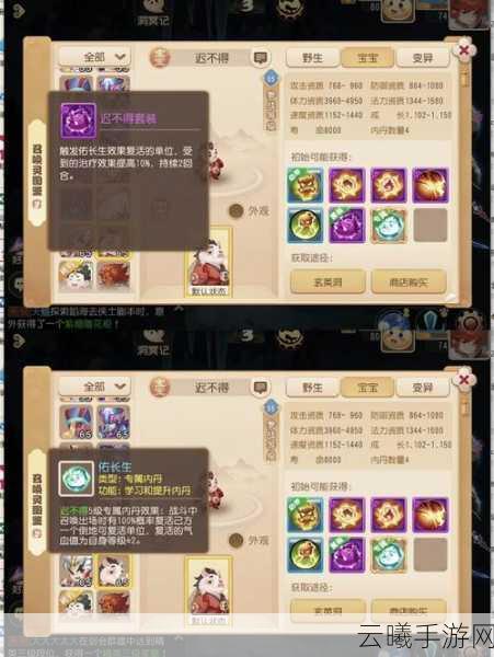 大话西游手游仙族血宠选择全攻略,揭秘仙族最佳血宠搭配与趣味玩法