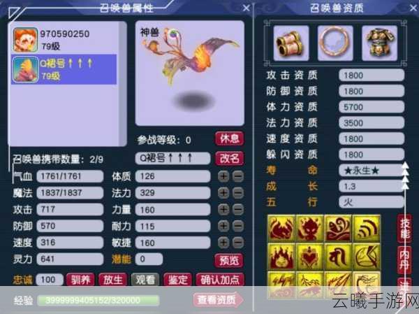 梦幻西游手游仙族坐骑任务全解析，探索奇幻之旅，驾驭神兽畅游三界！