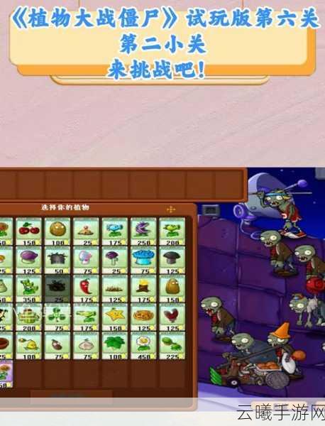 植物大战僵尸每关通关惊喜大揭秘，礼物与趣味玩法全攻略