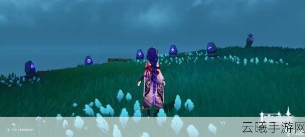 原神千来神祠羽毛搜集与迷雾解锁全攻略,探索古老信仰的奇幻之旅
