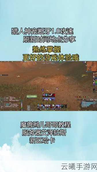 魔兽世界怀旧服，揭秘断牙位置与趣味玩法