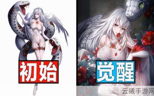 爆裂魔女深度攻略,SR与R级角色养成秘籍及功能型工具人角色全解析