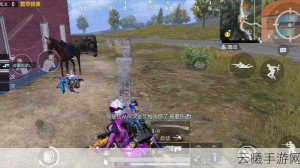 和平精英开麦无声?原因揭秘及趣味玩法大揭秘!