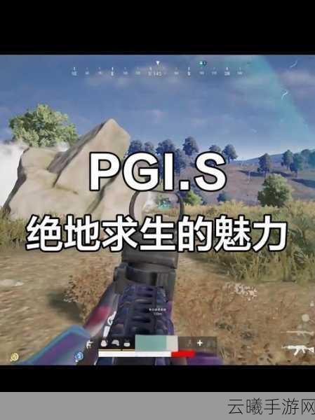 绝地求生:刺激战场黑话术语全解析,探索趣味玩法新境界