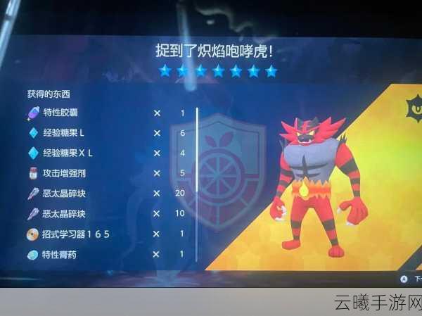 宝可梦大探险健美叠加机制详解及趣味玩法探索