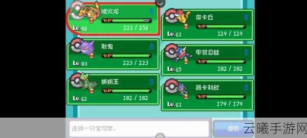 口袋妖怪燃智之旅,智月见山探险攻略全揭秘,开启奇幻冒险新篇章